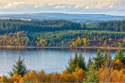 Largest woodland in England
