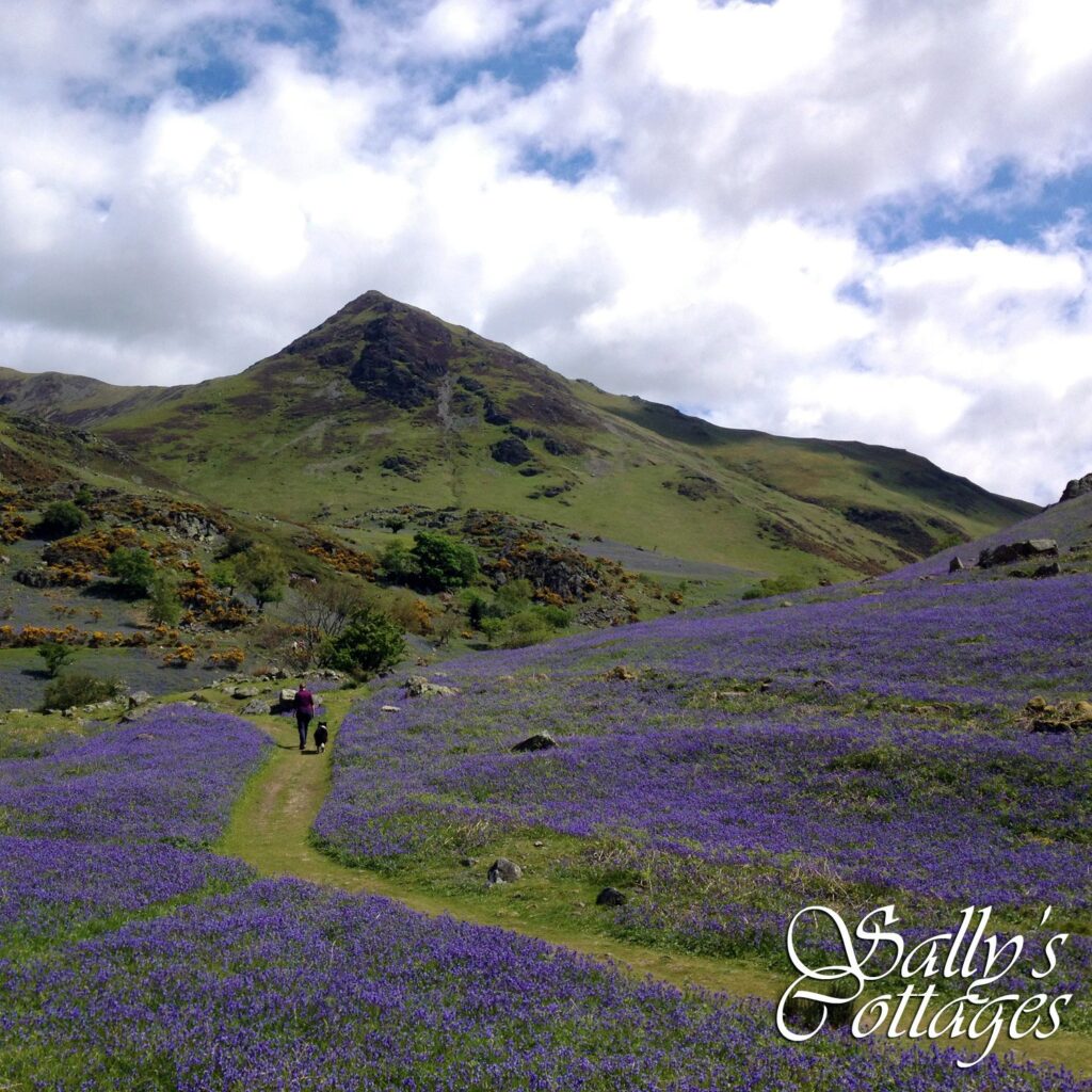 Buttermere Valley 