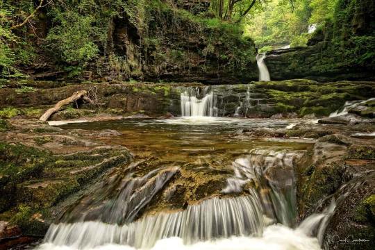 Brecon Beacons spring