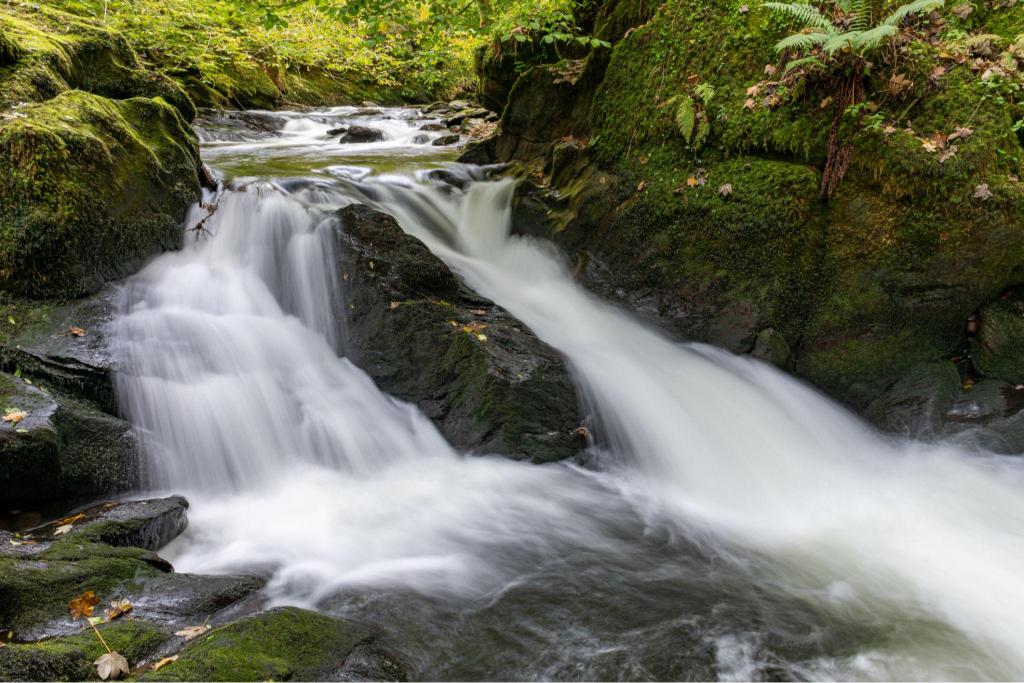 Exmoor national park