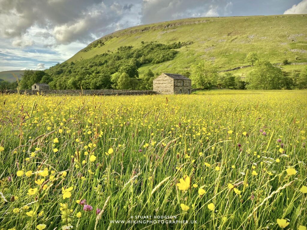 Swaledale 