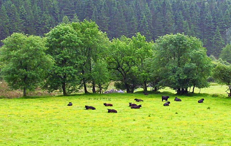 Ennerdale Valley