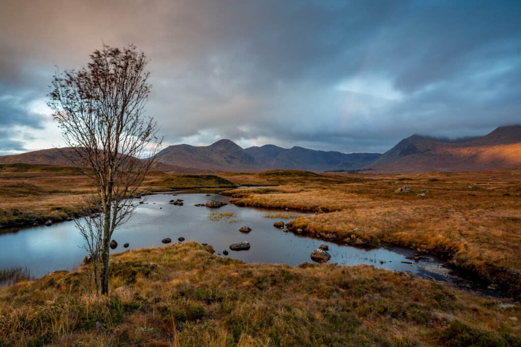 Rannoch Moor Hestroy
