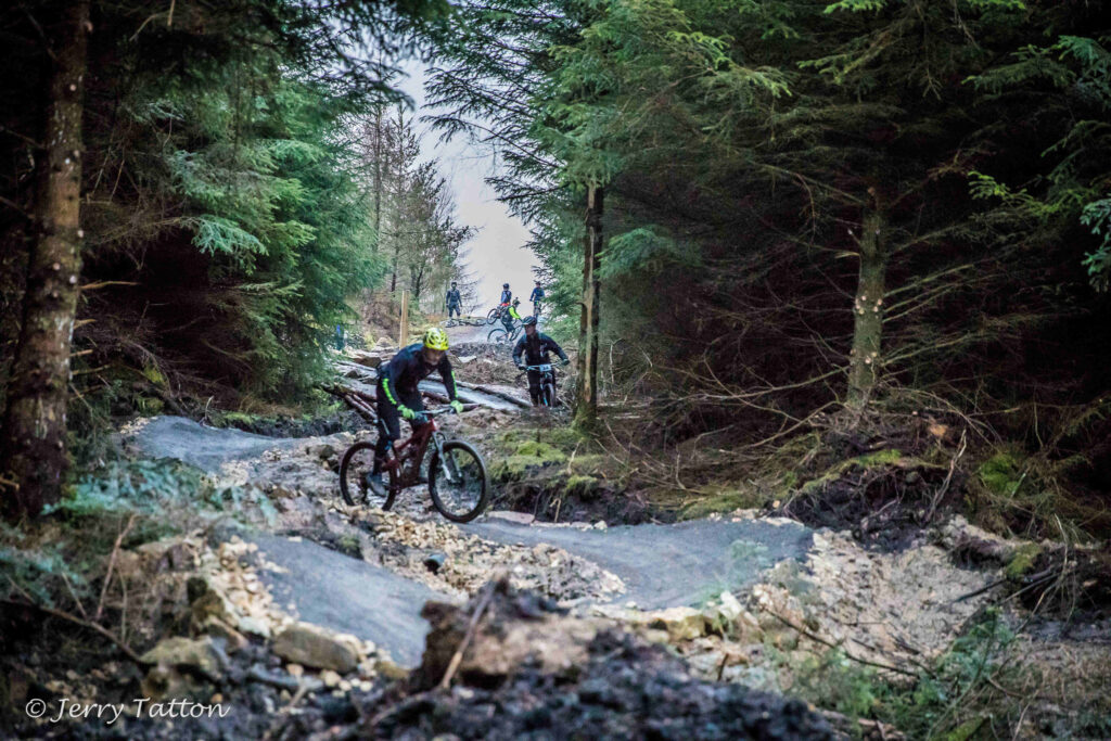 Hamsterley Forest  boys are riding bysycle