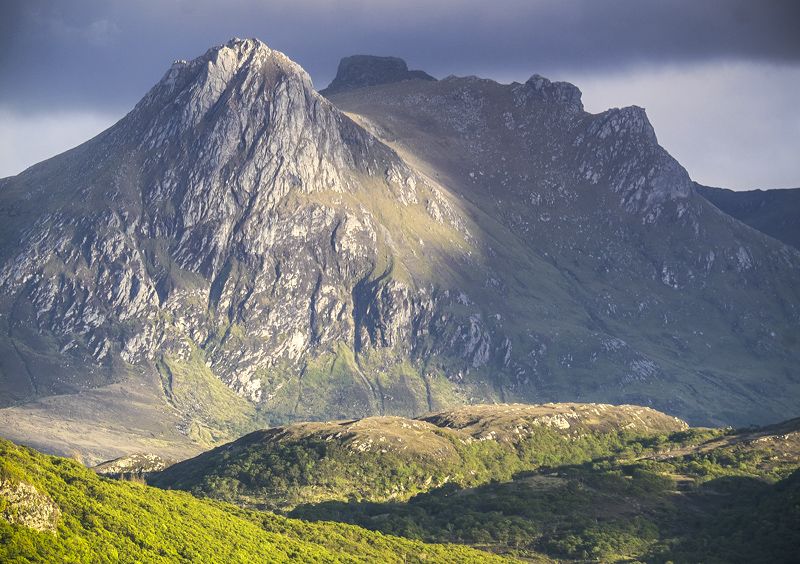 Ben Loyal 