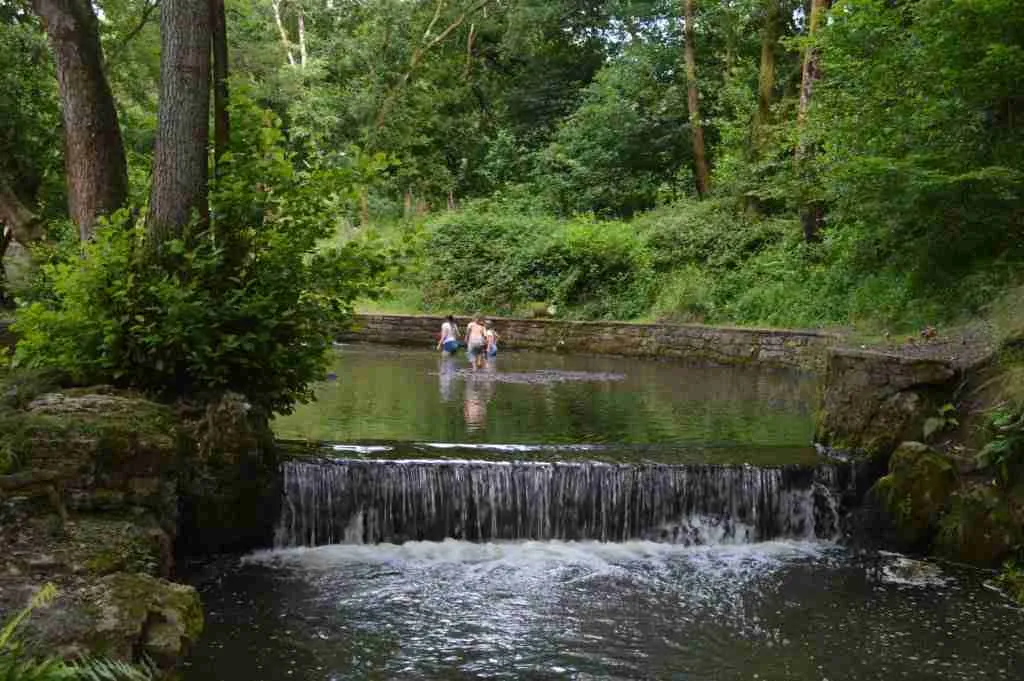 Forest of Dean 
