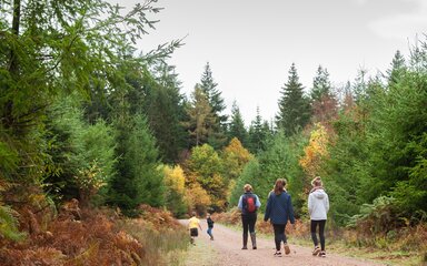 three girls are in Hamsterley Forest 