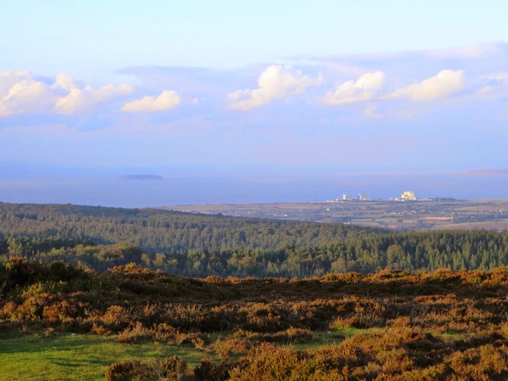 Quantock Hills 