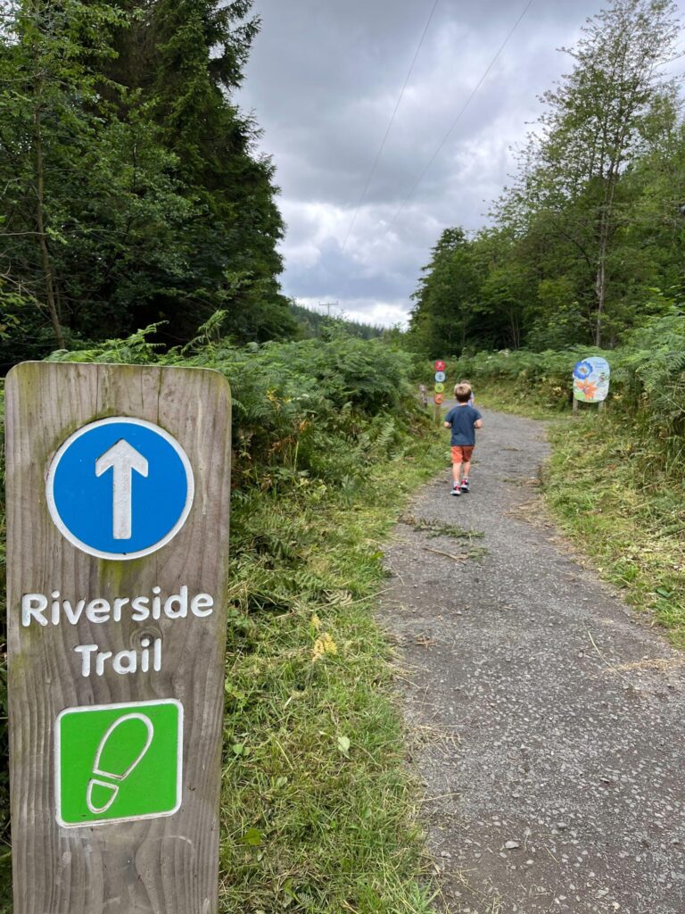 A kid is running in Hamsterley Forest 