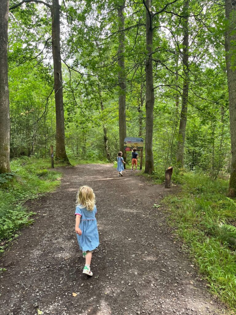 Best walk in Hamsterley Forest 