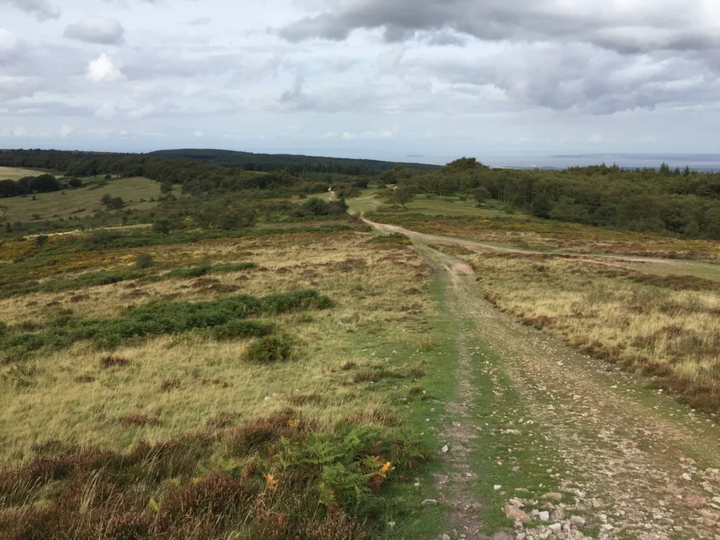 Quantock Hills 