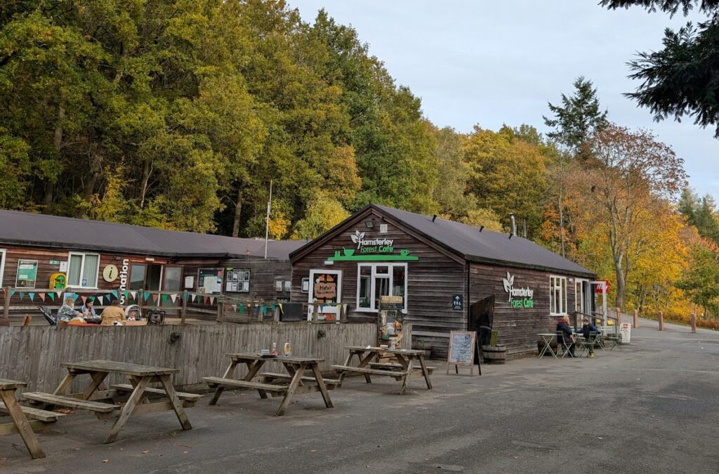 Hamsterley Forest  cafe