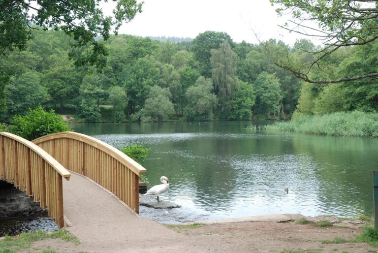 Forest of Dean