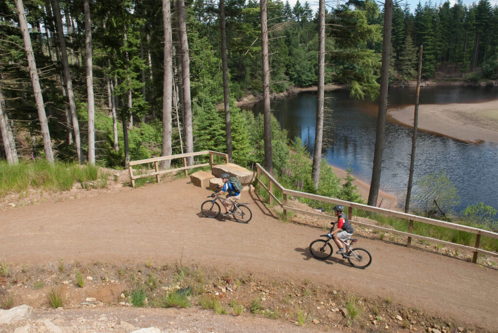 Kielder Forest 