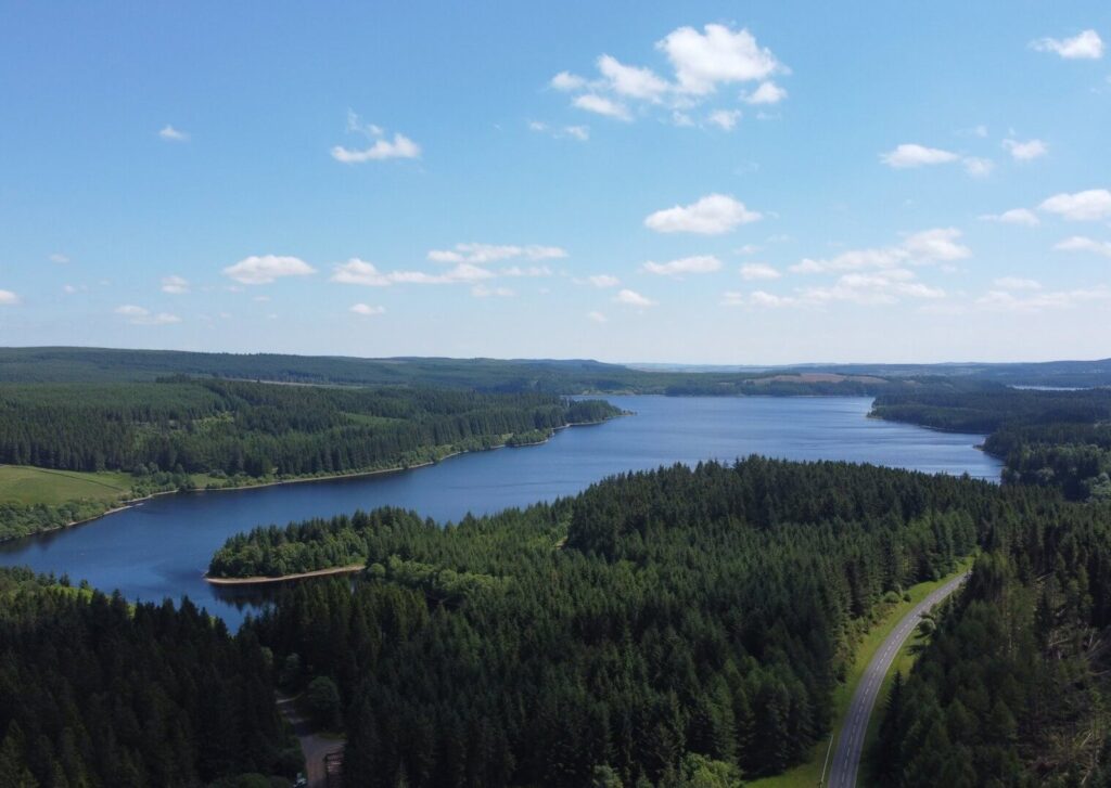 Kielder Forest  forest