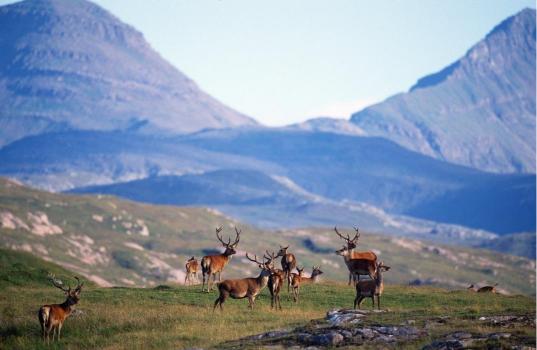 Isle of Rum
