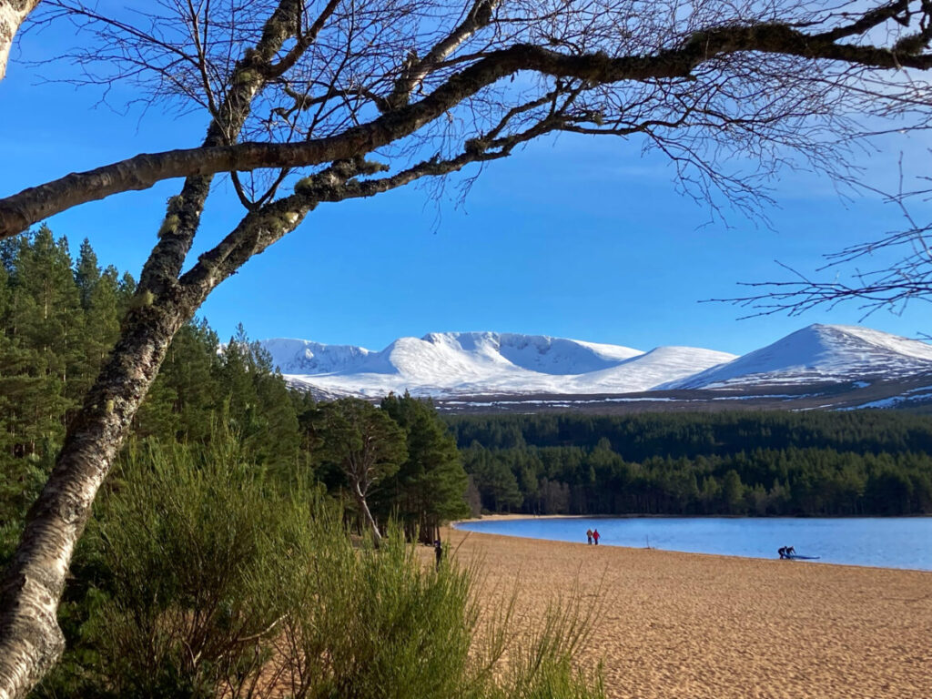 Cairngorms National Park 