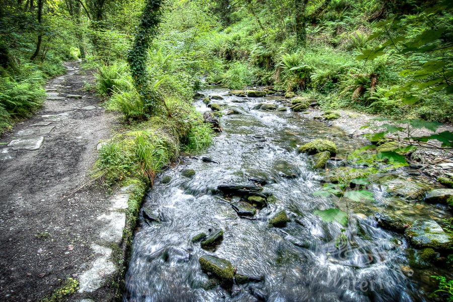 stream in St. Nectan's Glen 
