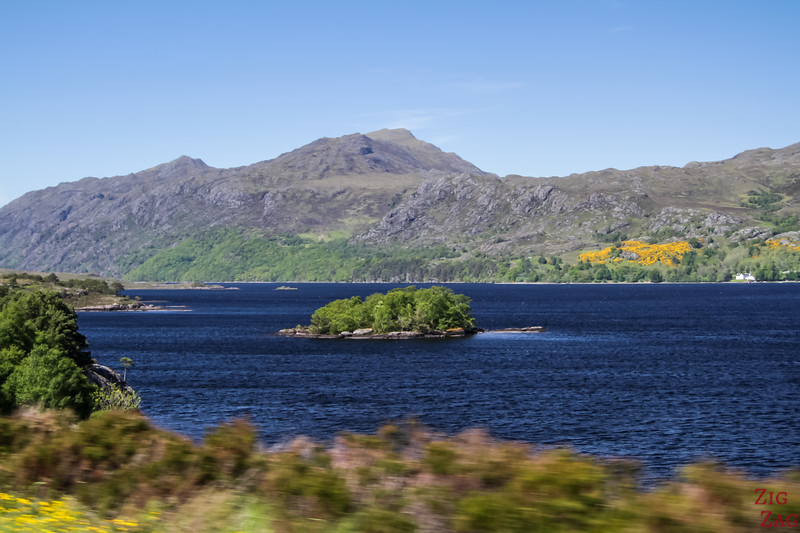 Loch Maree plants in the sea
