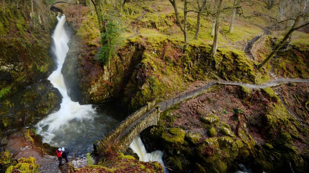 Aira force