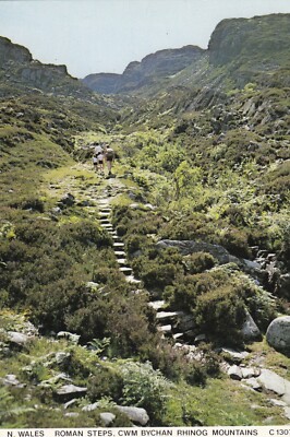 Rhinog Mountains step