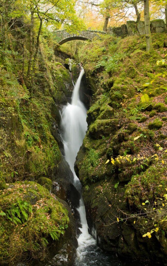 Aira force