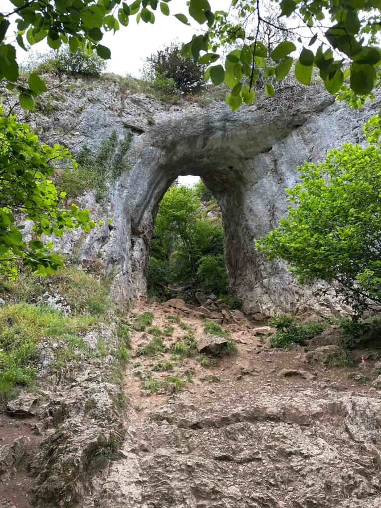 Reynard's Cave